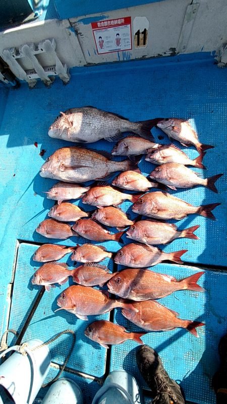 フィッシングガイド りょう 釣果