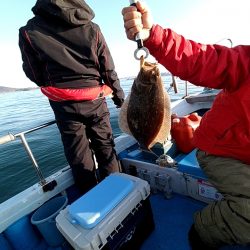 フィッシングガイド りょう 釣果