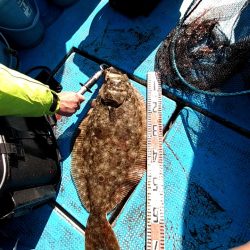 フィッシングガイド りょう 釣果