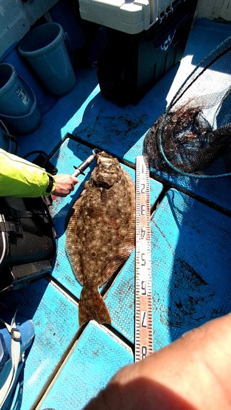 フィッシングガイド りょう 釣果