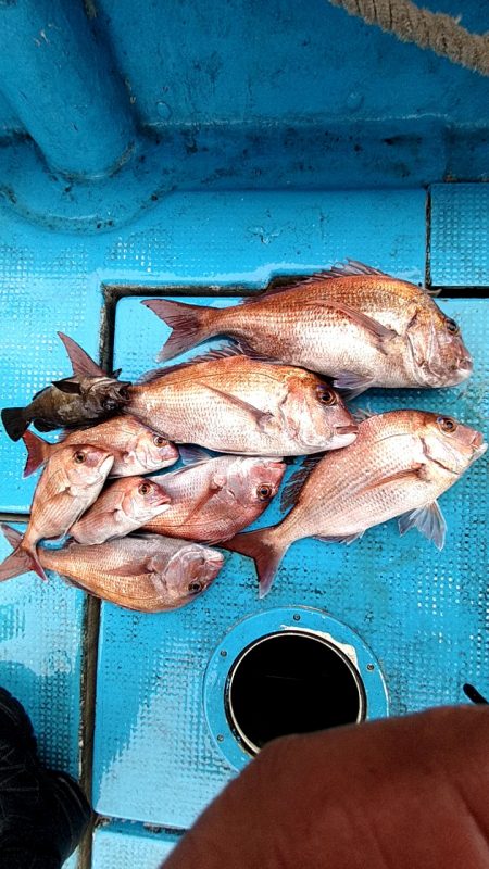 フィッシングガイド りょう 釣果