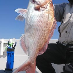 遊漁船 家入 釣果