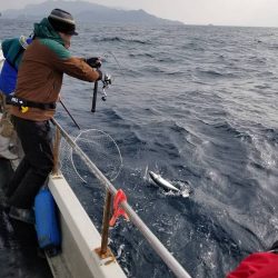 幕島丸 釣果