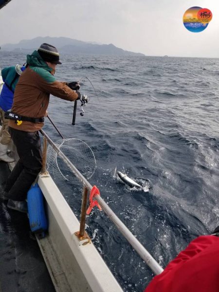 幕島丸 釣果