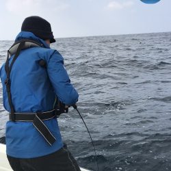 幕島丸 釣果