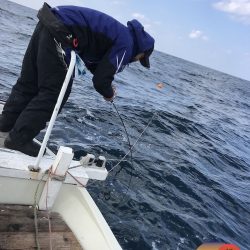 幕島丸 釣果