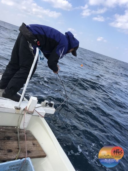 幕島丸 釣果