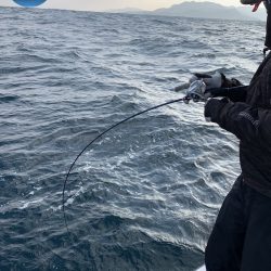 幕島丸 釣果