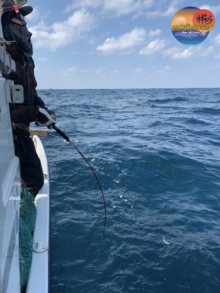幕島丸 釣果