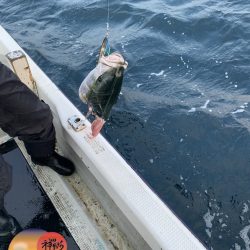 幕島丸 釣果