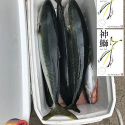 幕島丸 釣果