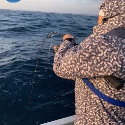 幕島丸 釣果