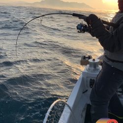 幕島丸 釣果