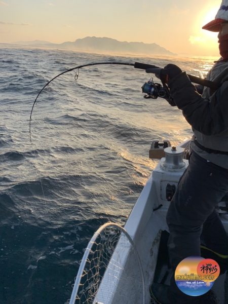 幕島丸 釣果