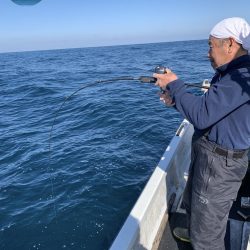 幕島丸 釣果