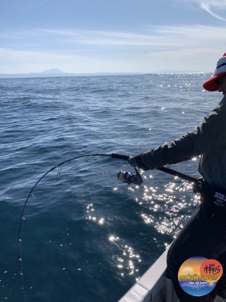 幕島丸 釣果