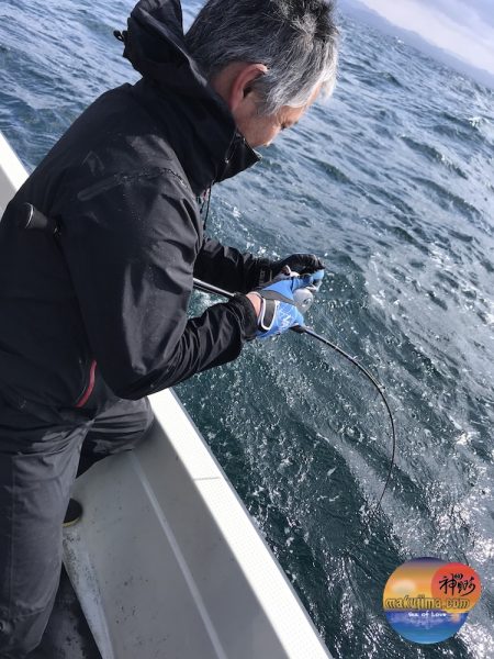 幕島丸 釣果