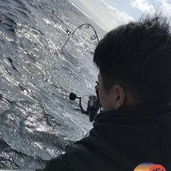 幕島丸 釣果