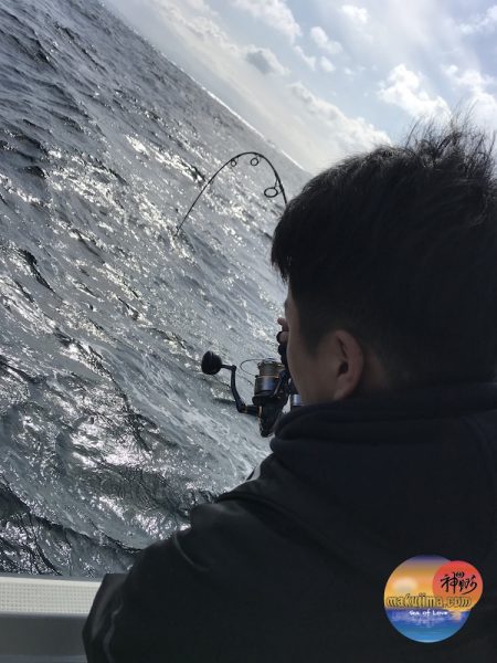 幕島丸 釣果