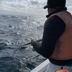 幕島丸 釣果