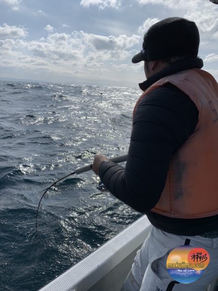 幕島丸 釣果