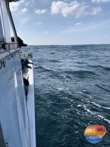 幕島丸 釣果