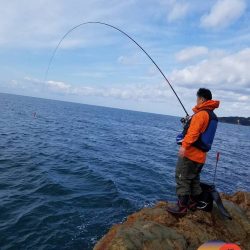 幕島丸 釣果