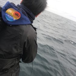 幕島丸 釣果
