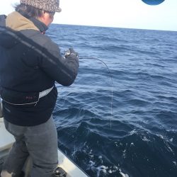 幕島丸 釣果