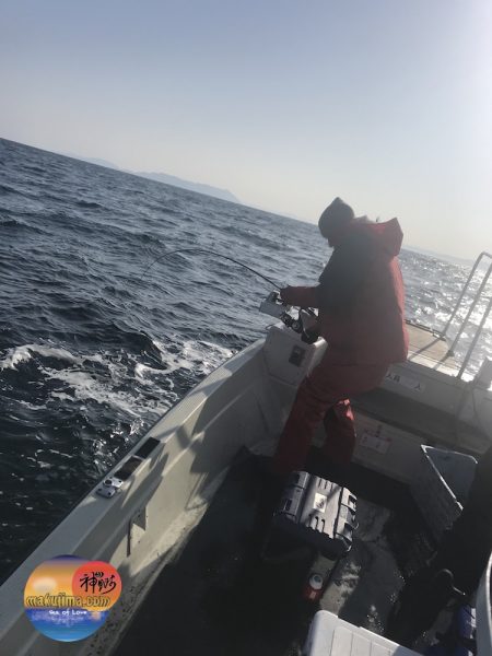 幕島丸 釣果