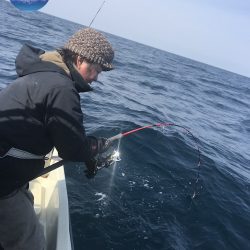 幕島丸 釣果