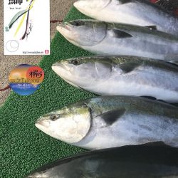 幕島丸 釣果