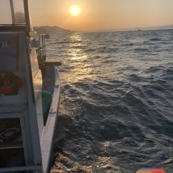 幕島丸 釣果