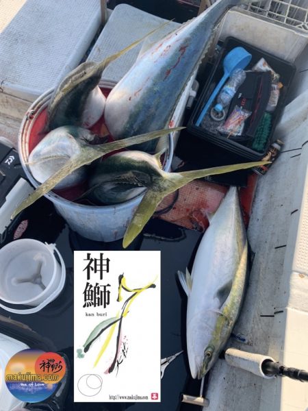 幕島丸 釣果