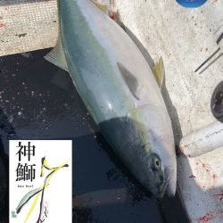 幕島丸 釣果