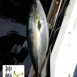 幕島丸 釣果
