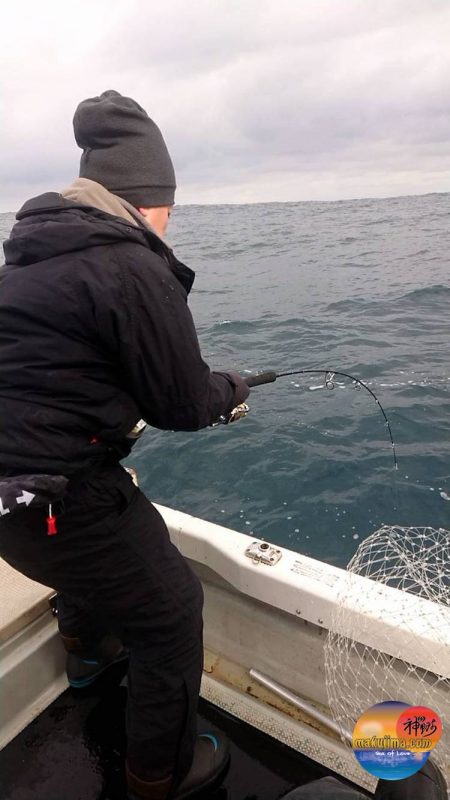 幕島丸 釣果
