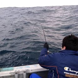 幕島丸 釣果
