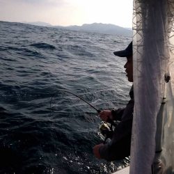 幕島丸 釣果