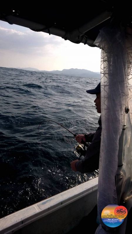 幕島丸 釣果