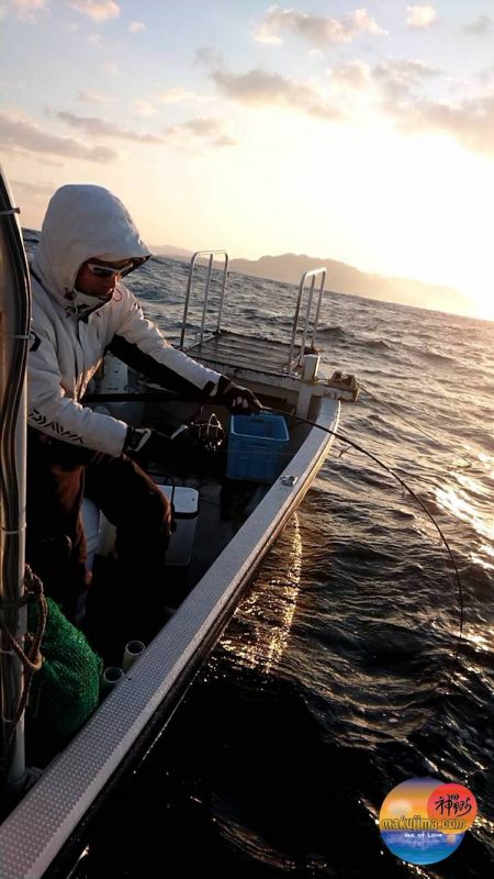幕島丸 釣果