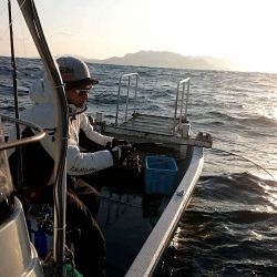 幕島丸 釣果
