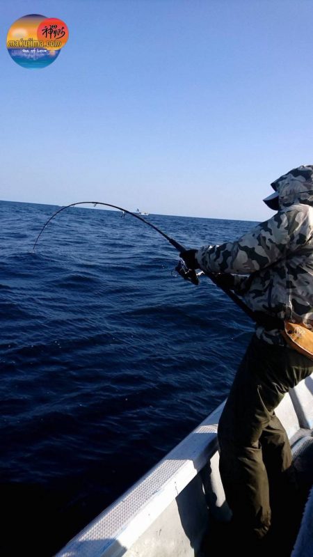 幕島丸 釣果
