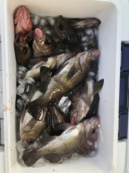 海龍丸（石川） 釣果