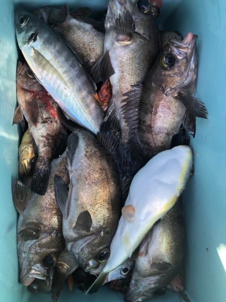 海龍丸（石川） 釣果
