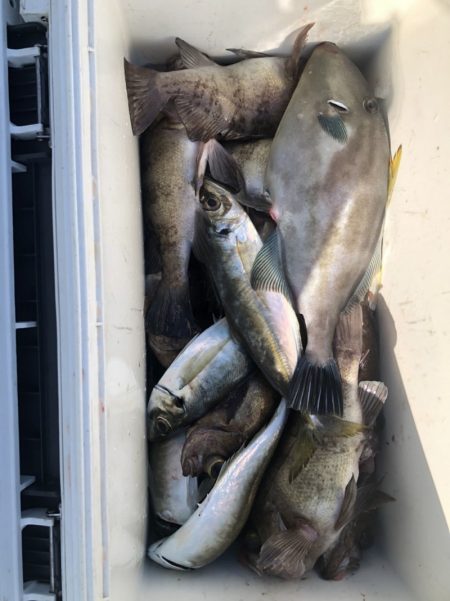海龍丸（石川） 釣果