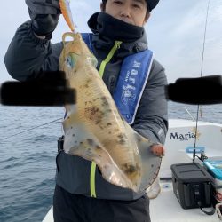 きずなまりん 釣果