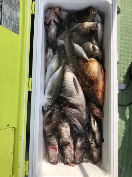 海龍丸（石川） 釣果