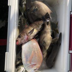 海龍丸（石川） 釣果