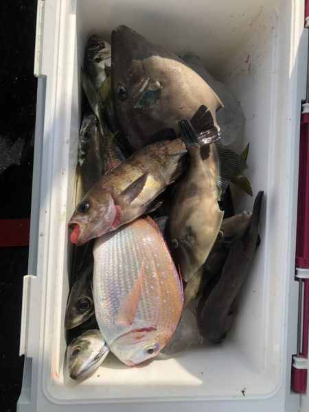 海龍丸（石川） 釣果